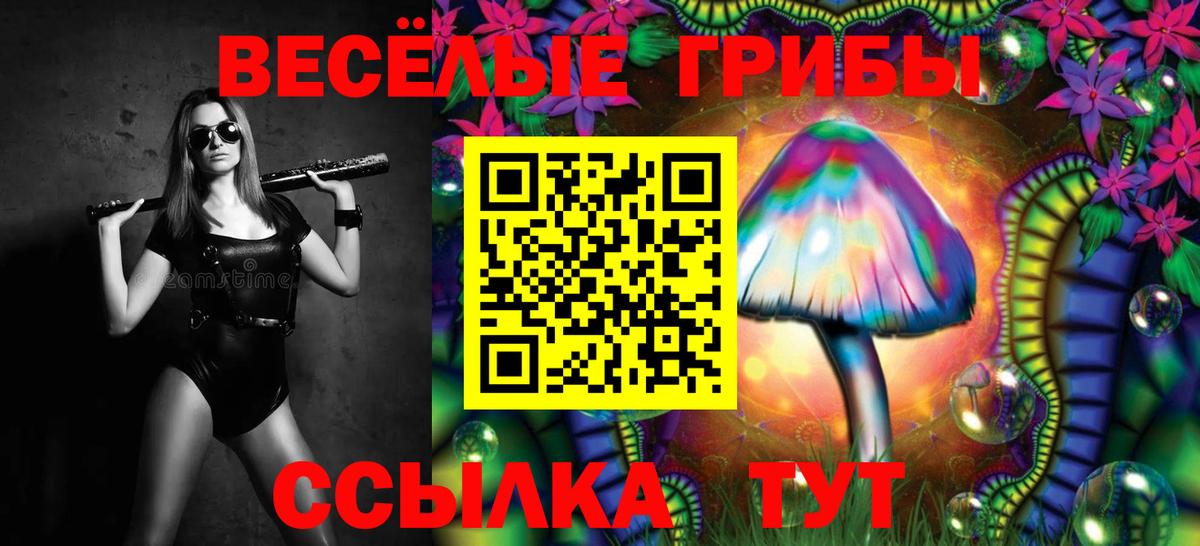 Псилоцибиновые грибы GOLDEN TEACHER  Галлюциногенные грибы Psilocybine cubensis  Ивантеевка  даркнет сайт  Вход с VPN 